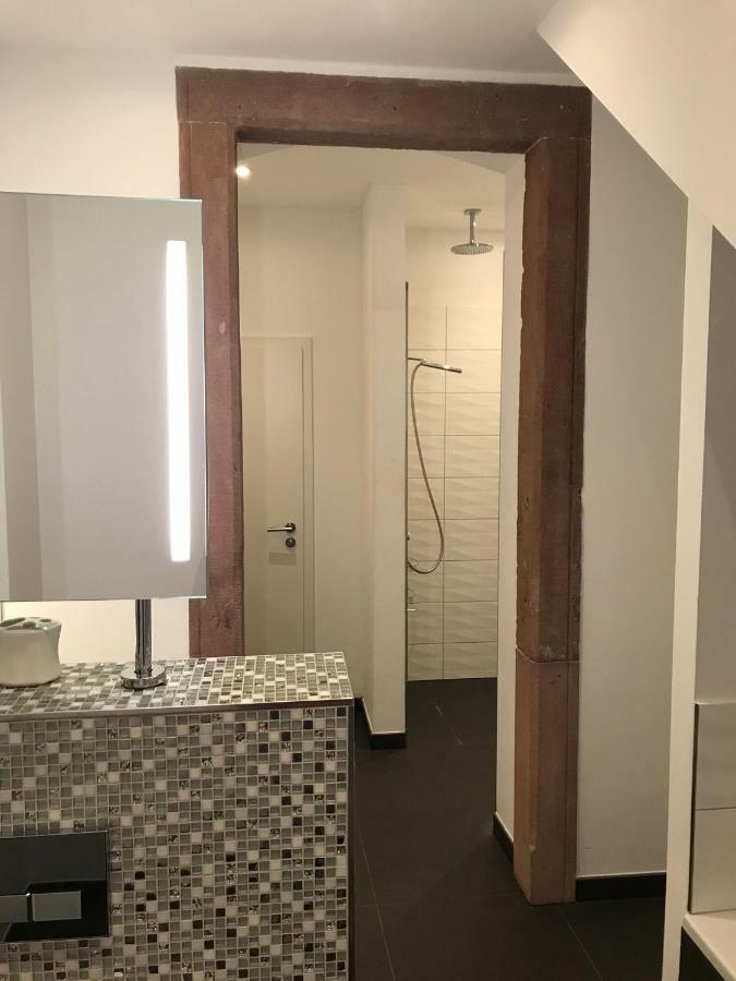 Modernes Apartment - Neustadt/Weinstrasse Stadt Нойштадт-ан-дер-Вайнштрасе Экстерьер фото